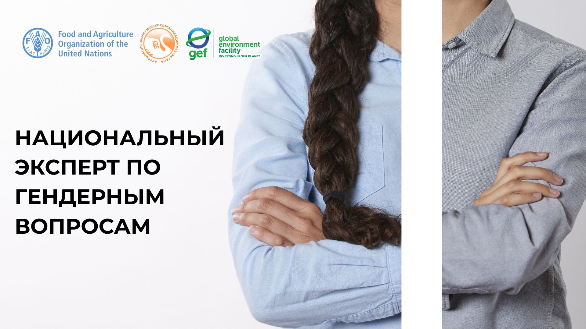 Национальный эксперт по гендерным вопросам