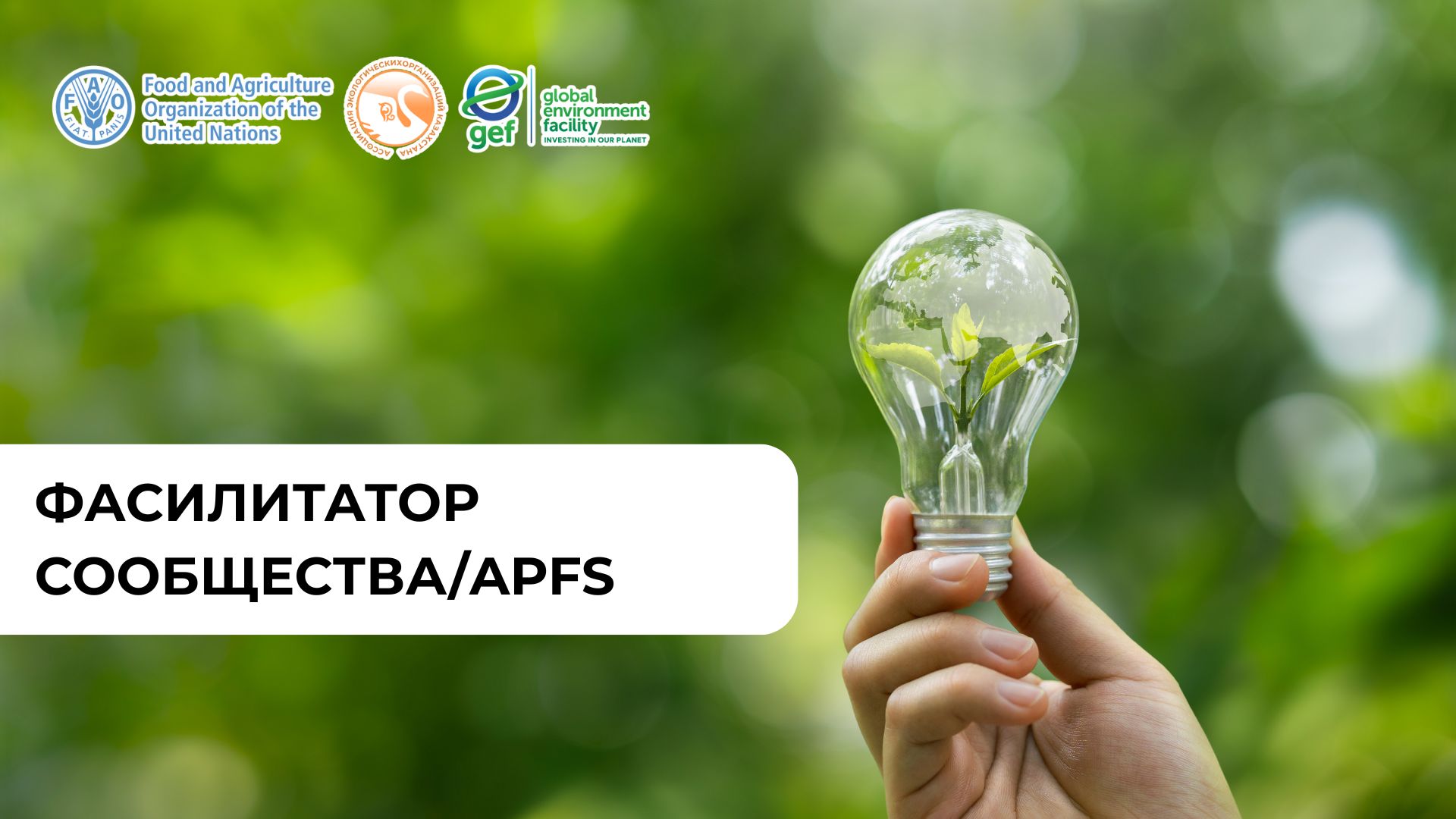 Фасилитатор сообщества APFS