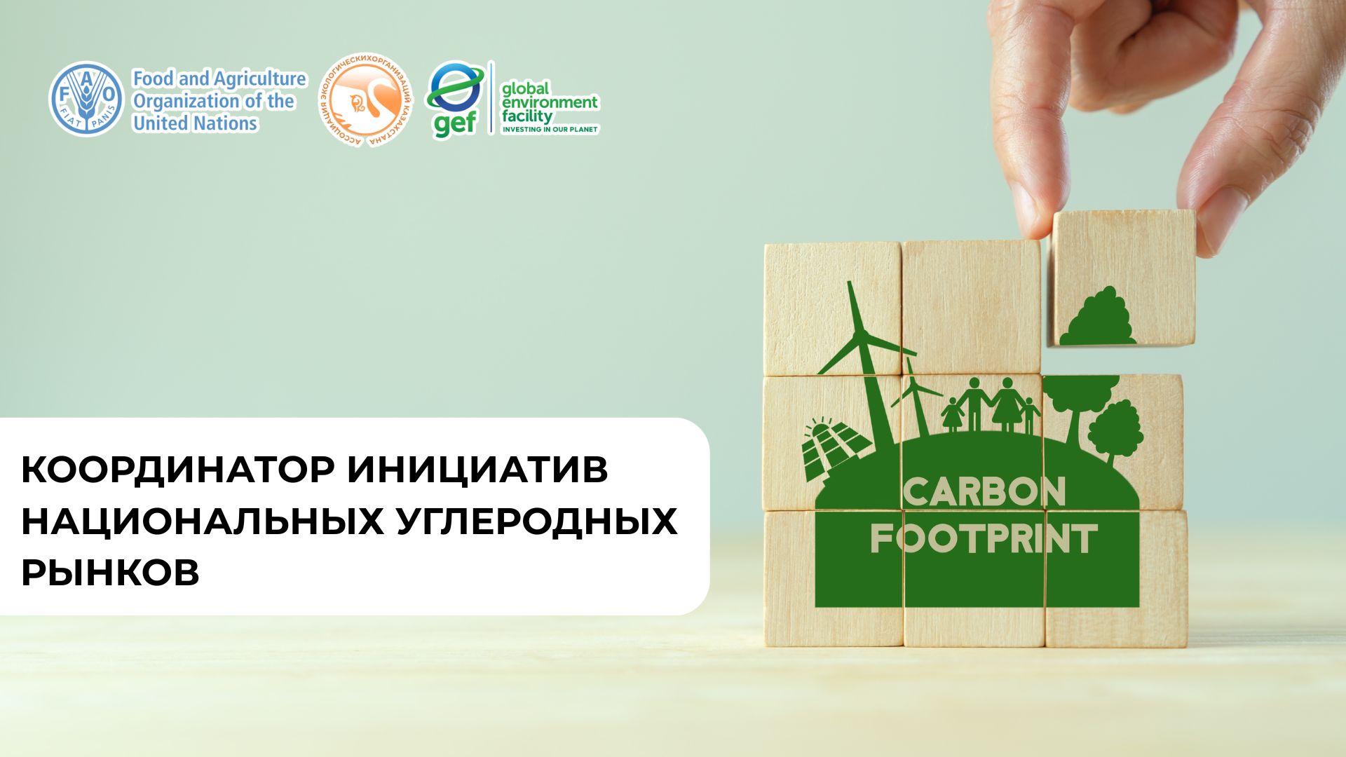 Координатор инициатив национальных углеродных рынков