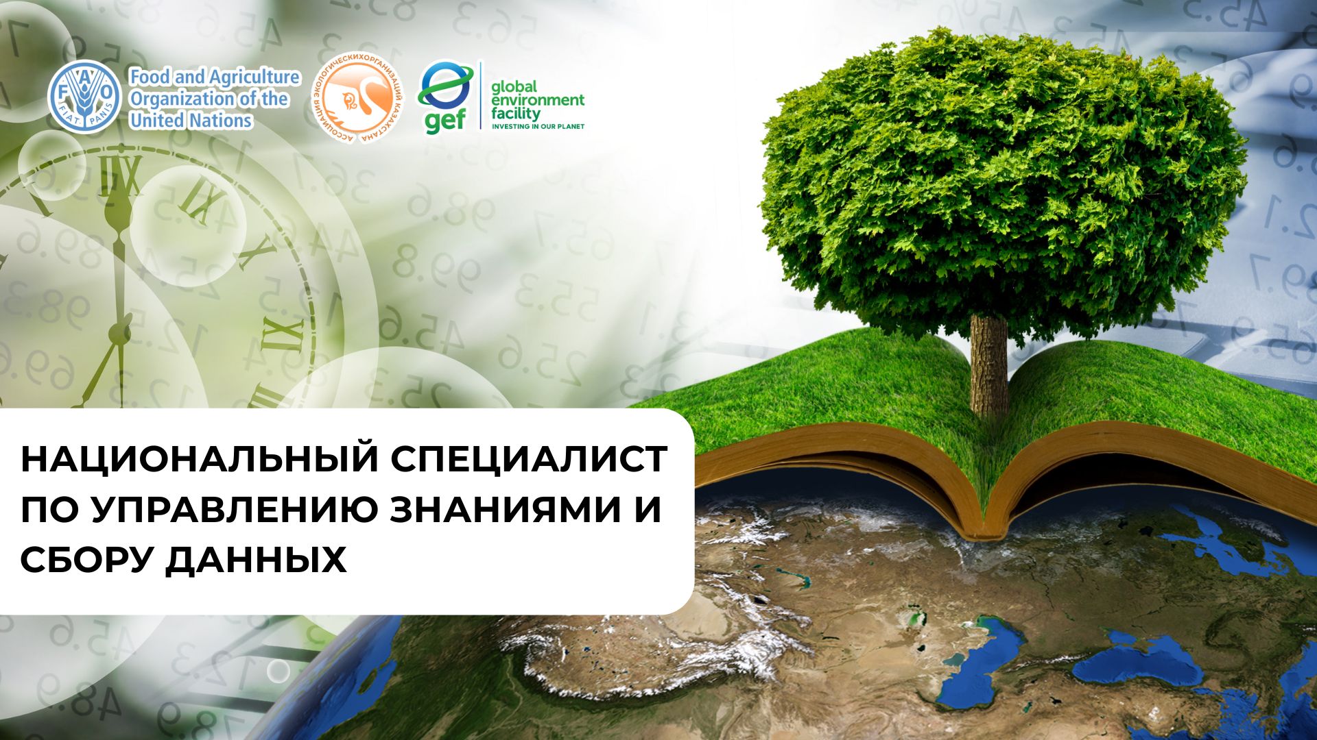 Национальный специалист по управлению знаниями и сбору данных