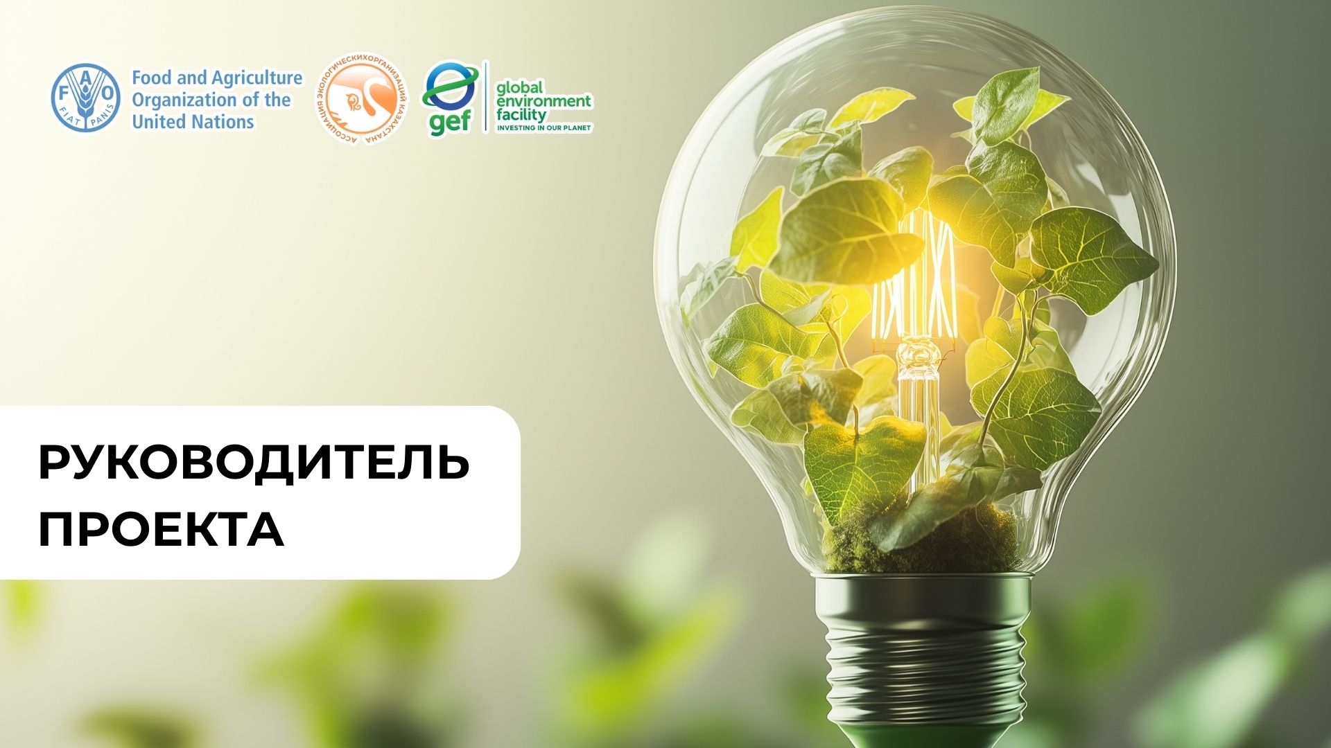 Руководитель проекта